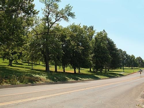 Road Photo - University Villa