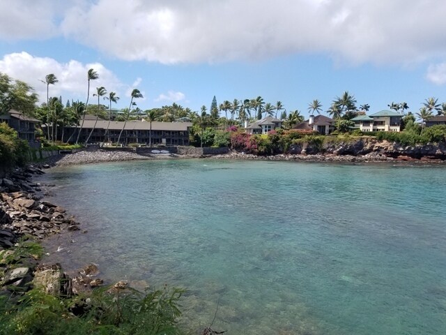 Foto del edificio - Honokeana Cove