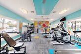 Located in Palm Bay, Florida, this well-equipped fitness center offers a complete exercise experience within a single, thoughtfully designed room. The space is immediately distinguished by its bold aqua-blue walls and a tray ceiling detail, creating a lively and energizing atmosphere that sets the tone for an active workout.

A striking large-scale mural of a tennis player in vivid, expressive brushstrokes serves as a dramatic focal point on one wall, adding a dynamic artistic element to the space. Multiple windows along the perimeter flood the room with natural light and offer views of the outdoor pool area and surrounding Florida landscape, enhancing the open, airy feel of the interior.

The fitness center is comprehensively equipped with a strong mix of cardio machines — including treadmills, ellipticals, a stationary bike, and a rowing machine — as well as a multi-station strength training unit and a full rack of dumbbells with an adjustable bench for free weight workouts. Wall-mounted televisions and ceiling fans contribute to a comfortable and engaging workout environment.

The flooring features modular carpet tiles in a mix of grey, teal, and yellow, adding visual interest underfoot while providing practical durability. A full-length mirror expands the sense of space and aids in form monitoring. Motivational signage and Florida sports team décor add personality, making this fitness center as inviting as it is functional.