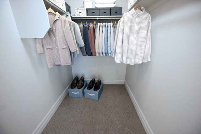 Closet - Hills at Renaissance