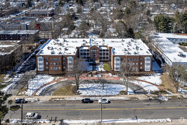 Aerial Photo - Copper Beech