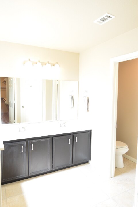 Building Photo - 3907 Thunder Creek Dr