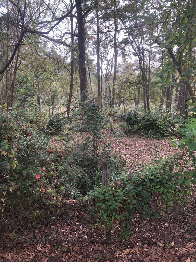 Foto del edificio - Marsh View Ranch