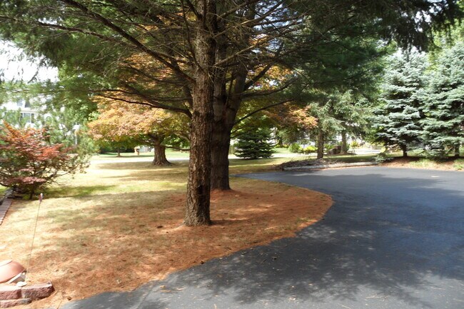 Foto del edificio - 61 Hillcrest Blvd