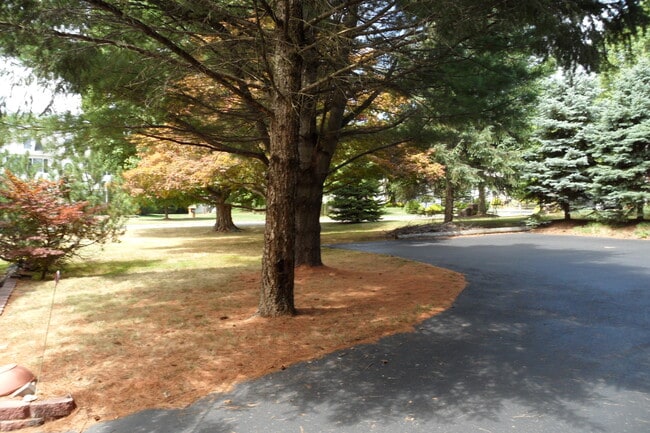 Building Photo - 61 Hillcrest Blvd