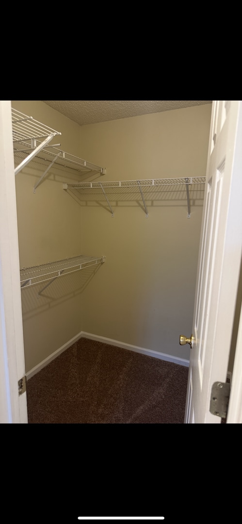 Building Photo - 4308 Brandonshire Ln