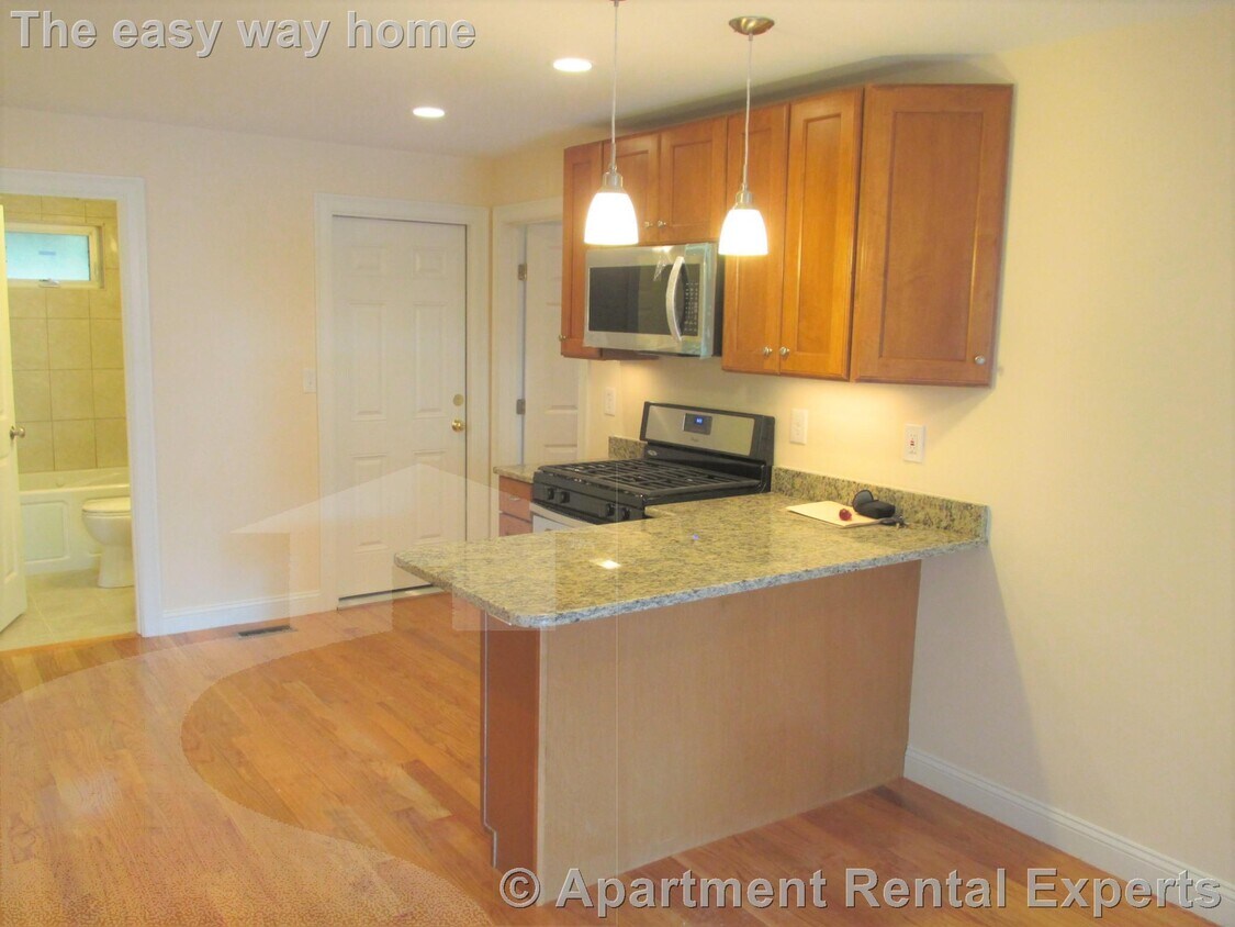 Foto principal - Spring Hill/Magoun Sq Total Renovation - 1...