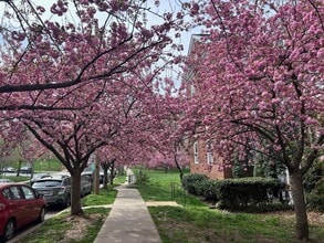 Building Photo - 3541 39th St NW