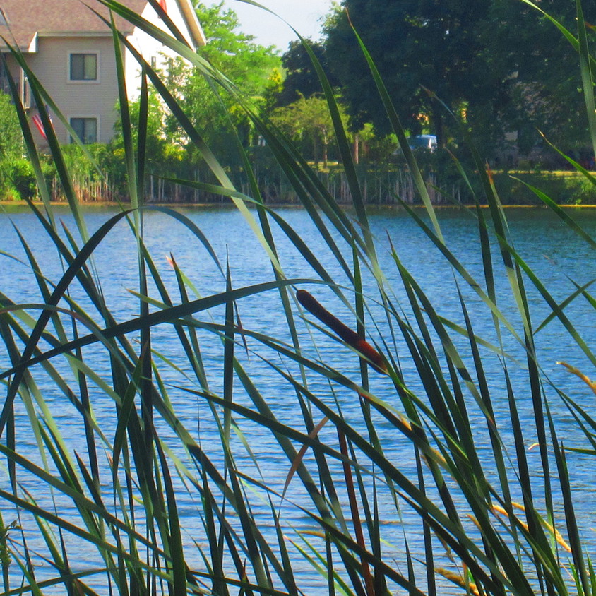 UNIT OVERLOOKING POND - 243 Arrowhead Dr