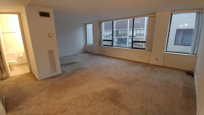 Foto del edificio - 233 E Erie St