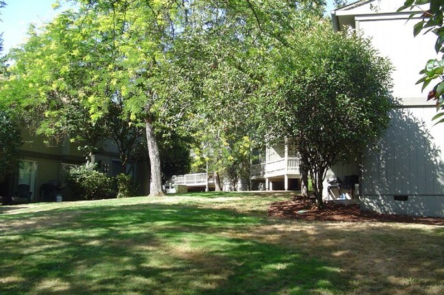 Foto del edificio - Beautiful Southeast Eugene hillside locati...