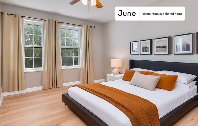 Room in Shared 7 bed/4 bath home - Room in Shared 7 bed/4 bath home