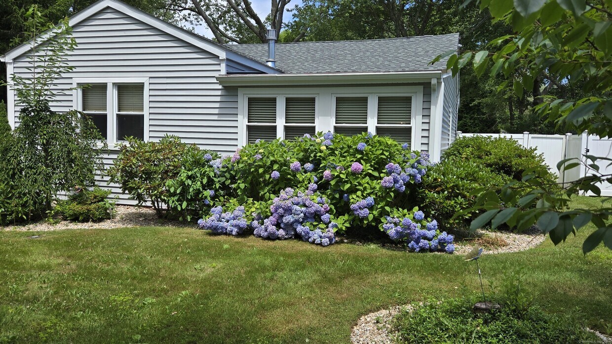 Primary Photo - 36 Grove Beach Rd S
