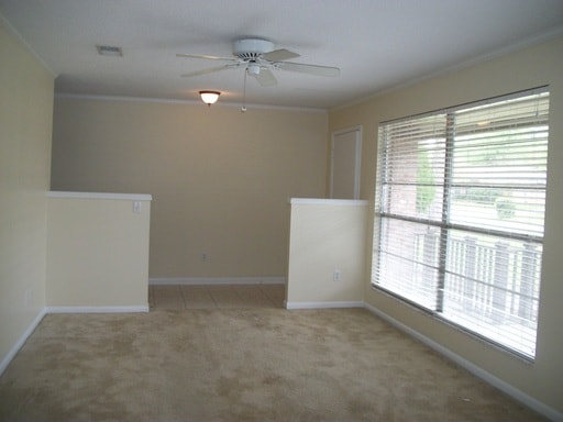 Building Photo - 8820 Osprey Ln