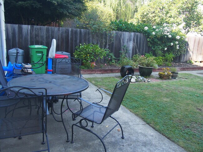 Shared Yard - 361 Church St