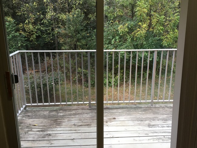 patio - 1706 Muriel Ct