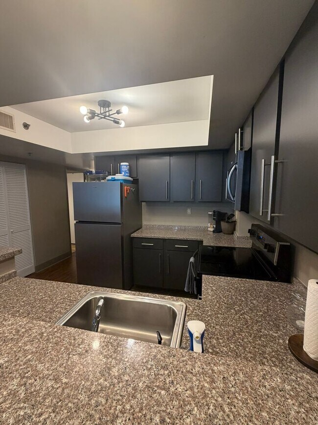Foto del edificio - Available FALL 2026 @ $3600/Month! Beautiful 8th floor Lake Plaza unit ready for August 2026 Move...