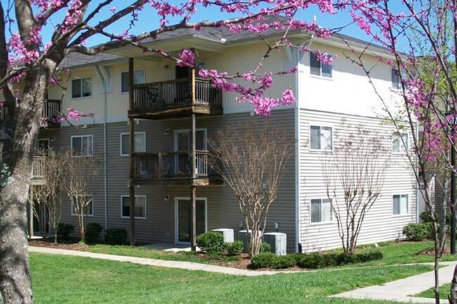 Foto del edificio - 303 Smith Level Rd