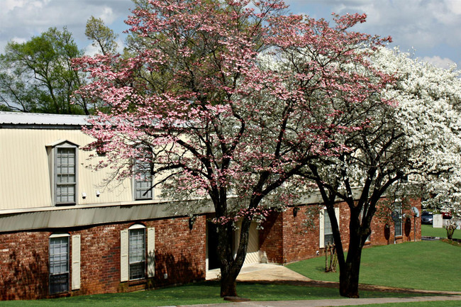 Foto del edificio - The Flats at Redstone