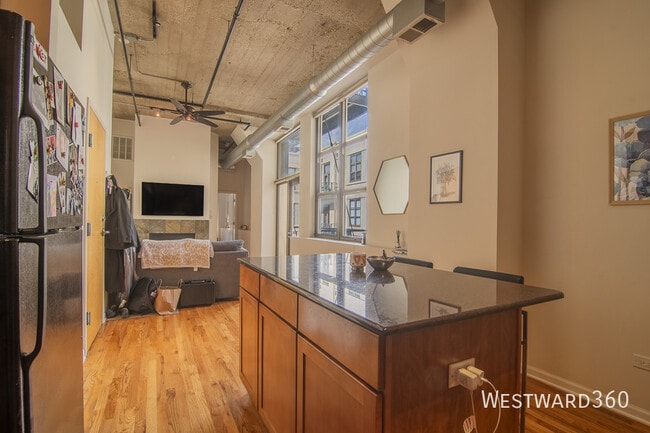 Photo - 758 N Larrabee St Apartment
