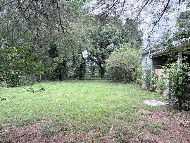 Foto del edificio - Room to Breathe in West Asheville — 3BR/2BA with a Third-Acre Private Yard