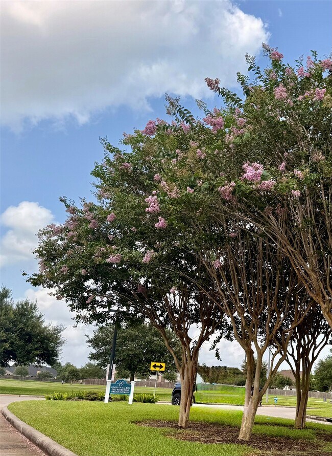 Foto del edificio - 3906 Teal Run Meadows Dr