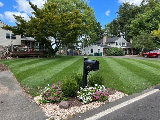 Primary Photo - 236 Park Rd