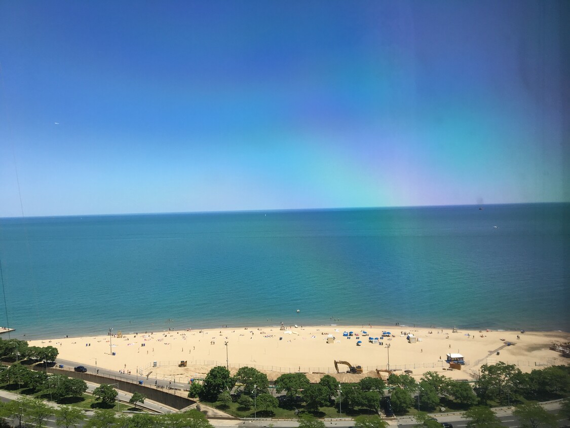 Oak Street Beach view - 1000 N Lake Shore Dr