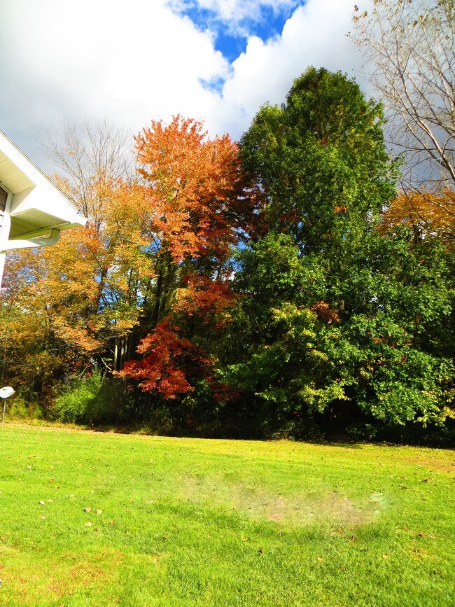 Elm Estates Apartments in Selkirk, NY