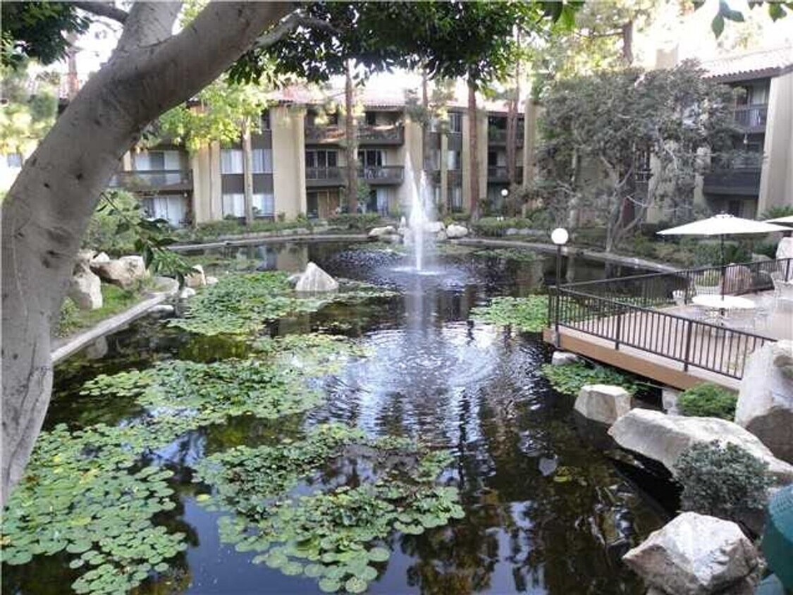 Primary Photo - Large Studio in The Plaza Condominium Comp...