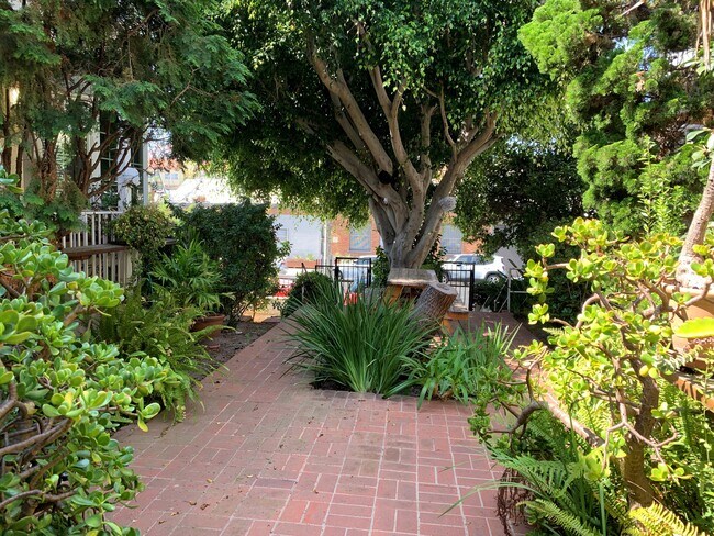Shared garden entrance area - 232 Hampton Dr