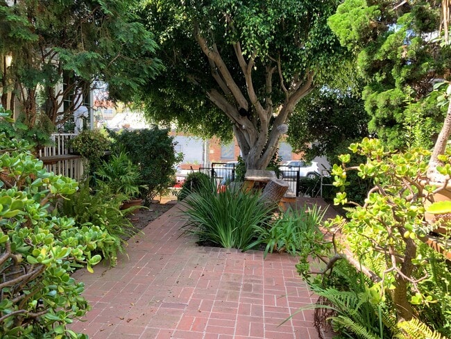 Shared garden entrance area - 232 Hampton Dr