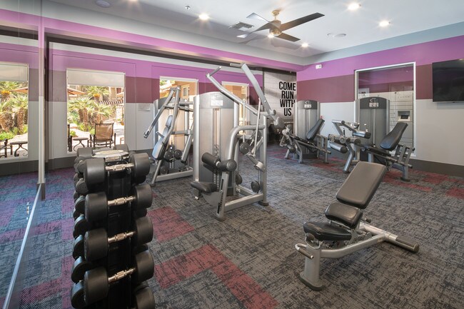 Gimnasio de pesas libres - Sage Stone at Arrowhead Apartments