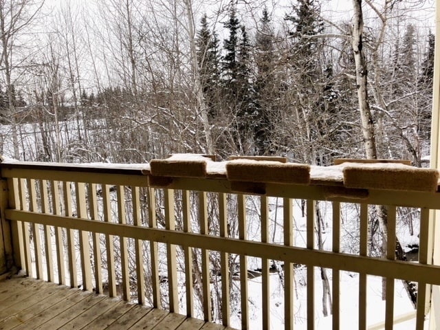 Building Photo - COMING SOON Creekside Views! 1 Bedroom Wes...