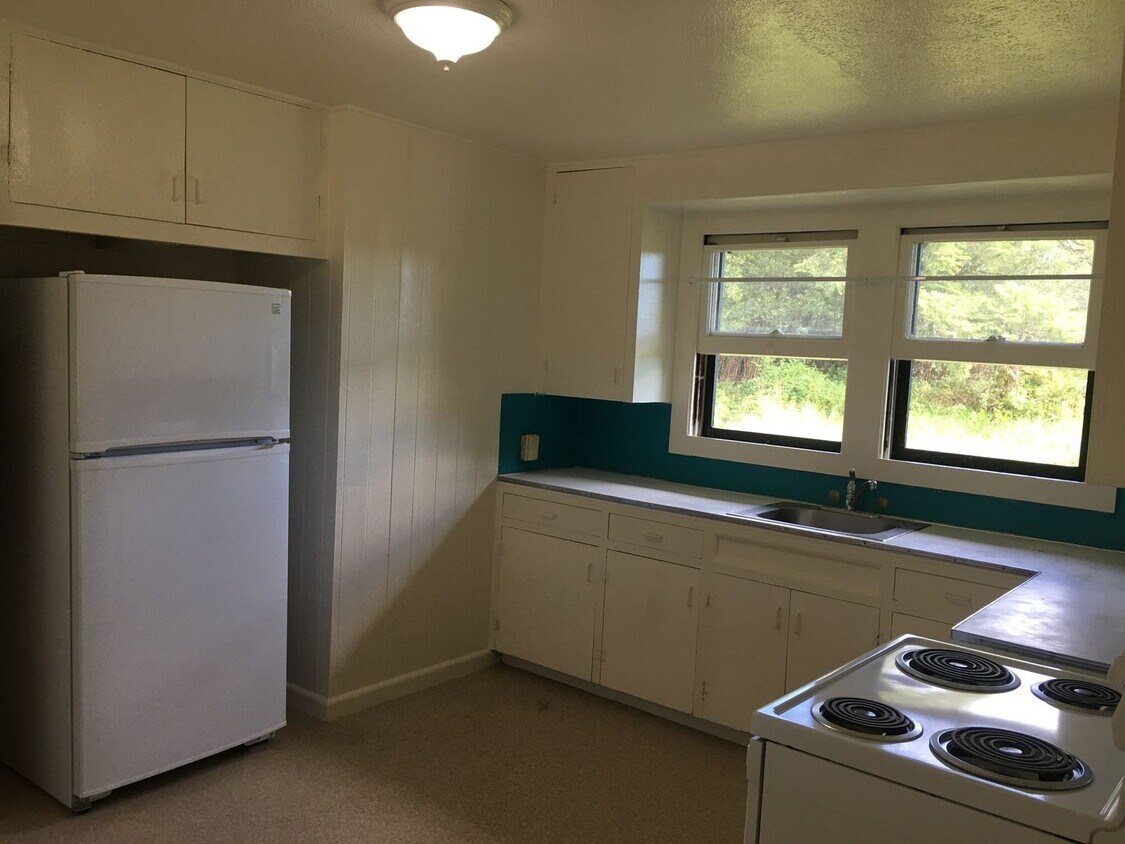 177938A S Kulani Rd, Mountain View, HI 96771 House Rental in