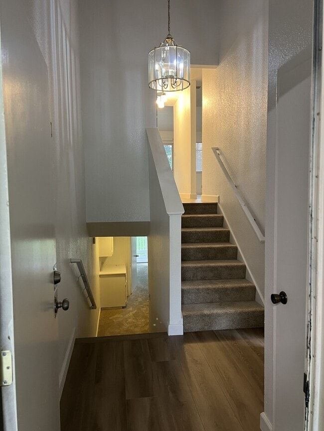 Foto del edificio - 235 Live Oak Cir