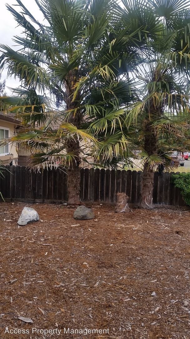 Foto del edificio - 3 br, 2 bath House - 2315 Taper Ct.