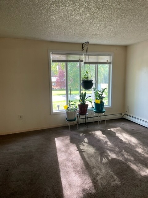 Living Room (second view) - 872 Ridge Loop Rd