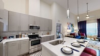 This thoughtfully designed 3-bedroom, 2-bathroom residence offers a compelling blend of modern style and functional living across a single floor. The open-concept kitchen is a standout feature, boasting dramatic soaring ceilings, sleek gray flat-front cabinetry, stainless steel appliances including a refrigerator, range, and built-in microwave, and a mosaic tile backsplash. A large kitchen island with a quartz countertop and undermount sink provides both prep space and casual seating, illuminated by a contemporary pendant light. Wood-look flooring anchors the kitchen and living areas, adding warmth and continuity.

The primary bedroom is generously sized, featuring elevated ceilings and a window with natural light. The primary bathroom offers a dual-sink vanity with quartz countertops, gray cabinetry, large-format tile flooring, and a walk-in glass shower. The second bathroom includes a single-sink vanity and a tub-shower combination with tile surround. The additional bedrooms are comfortable and well-lit, with soft carpet flooring and high ceilings that enhance the sense of space. Two closets and a hallway complete the layout, ensuring ample storage. The overall ambiance is clean, contemporary, and move-in ready.