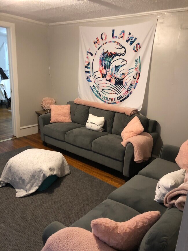 Living room in unit 2 - 126 Hudson St