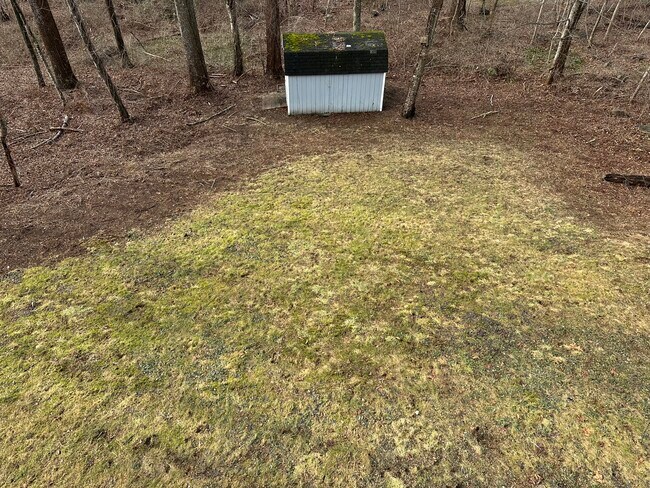 Foto del edificio - 6 Birch Cir