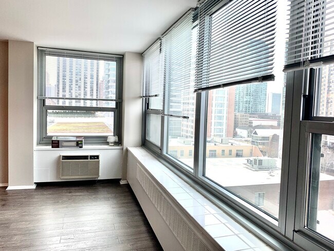 South View (Living Room) - 1255 N Sandburg Ter