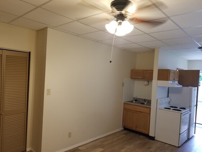 Building Photo - 413 Vandalia St
