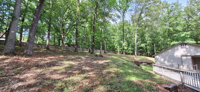 Building Photo - Beautifully renovated home in Rocky Woods ...