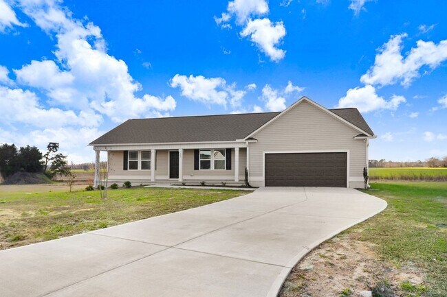 Building Photo - Stunning 3 BR | 2 BA Home in Dobbs Co Esta...