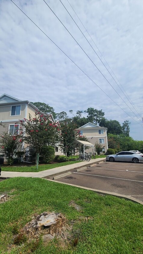 Primary Photo - Room for rent, fully updated unit, great l...
