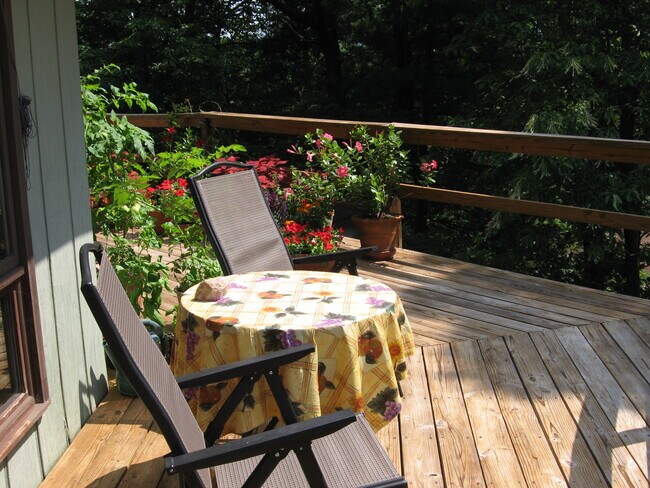 Deck - 155 Abbey Fields Ln