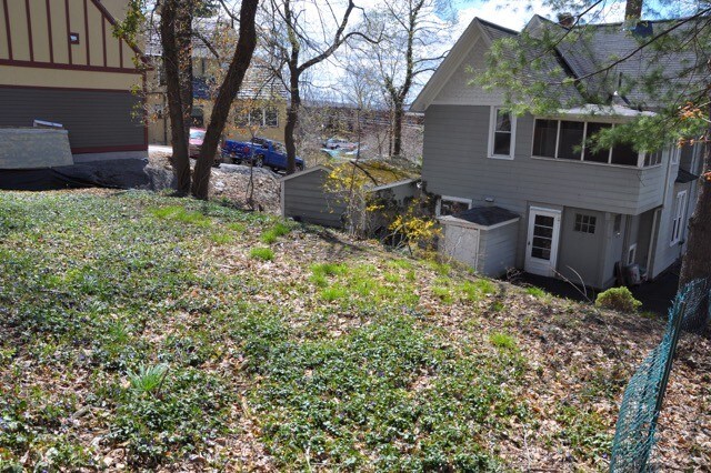 Backyard - 107 Lake St