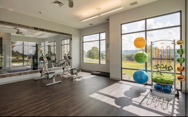 Free Gym - 3101 Brighton Plz