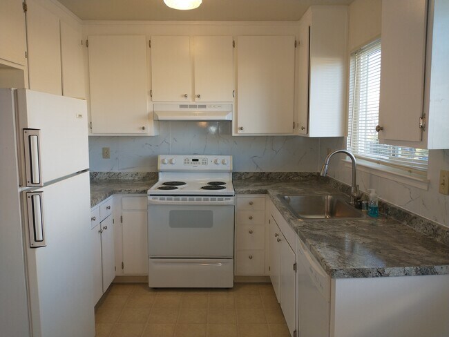 Renovated kitchen, large sink. - 5289 Balhan Ct